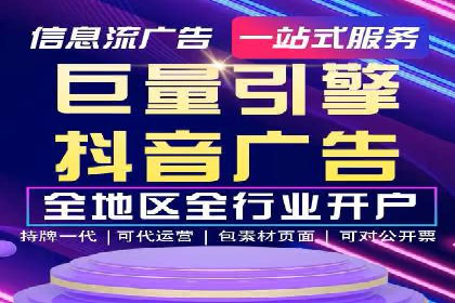 百度竞价与搜索引擎优化（SEO）的协同效应案例